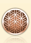 Center for Acupuncture and Complementary Medicine Orlando